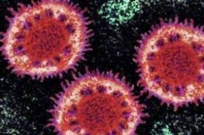 山东15例新型肺炎确诊病例具体情况公布