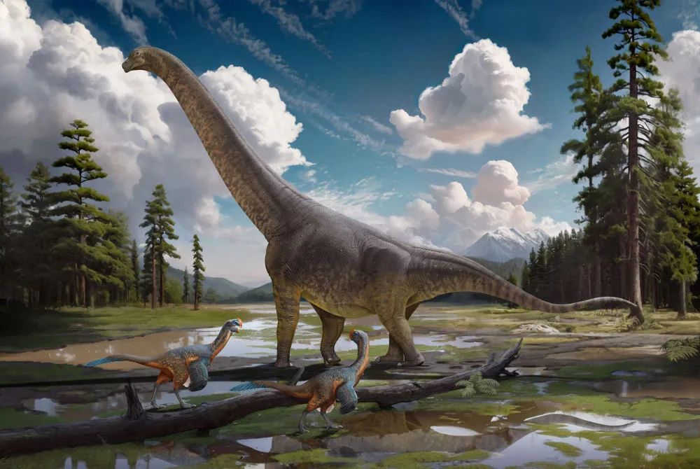 腔尾赣地巨龙！江西发现命名9000多万年前恐龙新属种